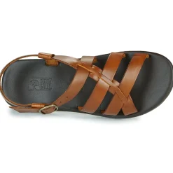 Dream in Green - QUESELLI Cognac