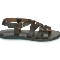 Dream in Green - QUESELLI