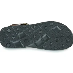 Dream in Green - QUESELLI