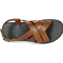 Dream in Green - QUESELLO Cognac Outlet