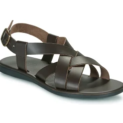 Dream in Green - QUESELLO