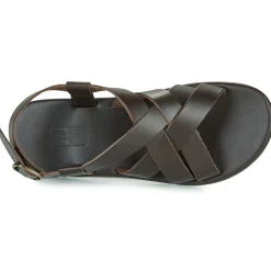 Dream in Green - QUESELLO