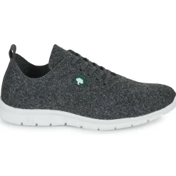 Dream in Green - SOTIS Grisfoncé New