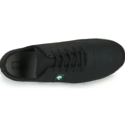 Best Dream in Green - SOTIS Noir