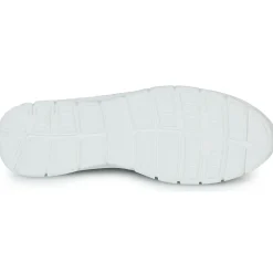 Best Dream in Green - SOTIS Noir