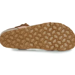 Dream in Green - TSILI