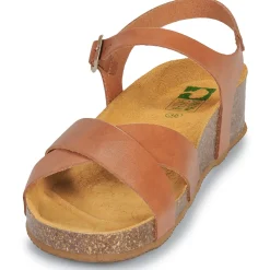 New Dream in Green - TSILIA Camel