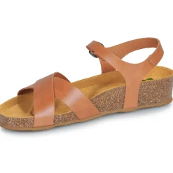 New Dream in Green - TSILIA Camel