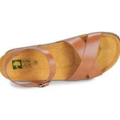 New Dream in Green - TSILIA Camel