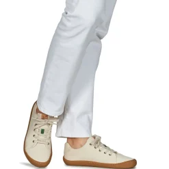 Dream in Green - ZAPHIRI