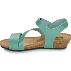 Dream in Green - ZIMINI