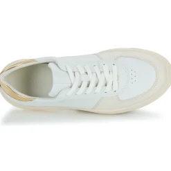 New Ecco - 291543-60947