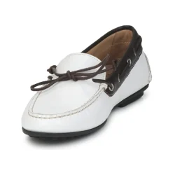 Ecco - KAYLOR Online