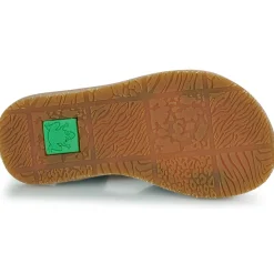 El Naturalista - 5350