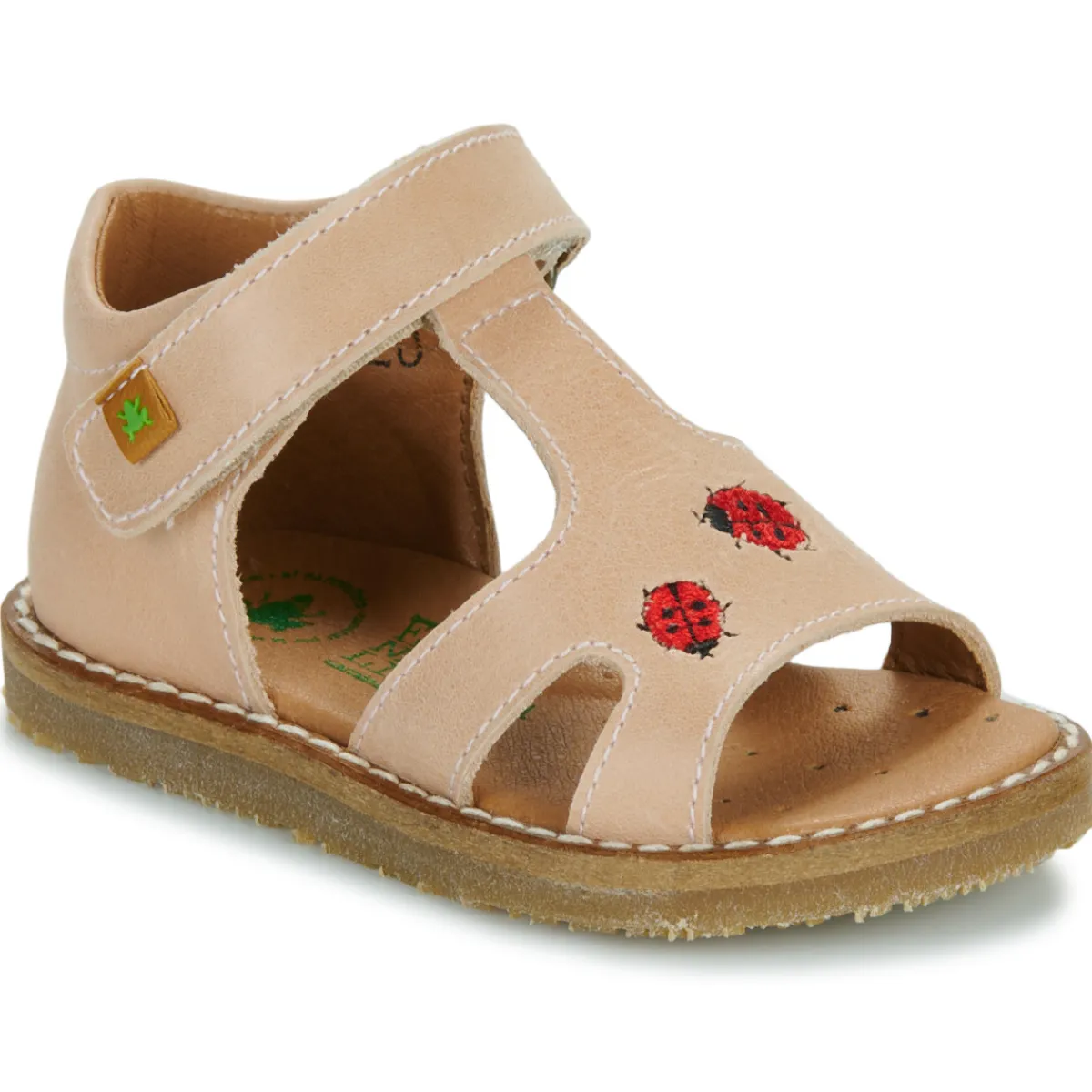 Online El Naturalista - 5348 Rose