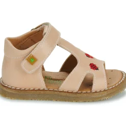 Online El Naturalista - 5348 Rose