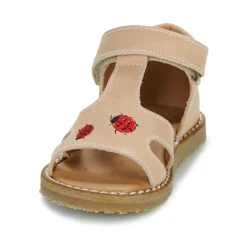 Online El Naturalista - 5348 Rose