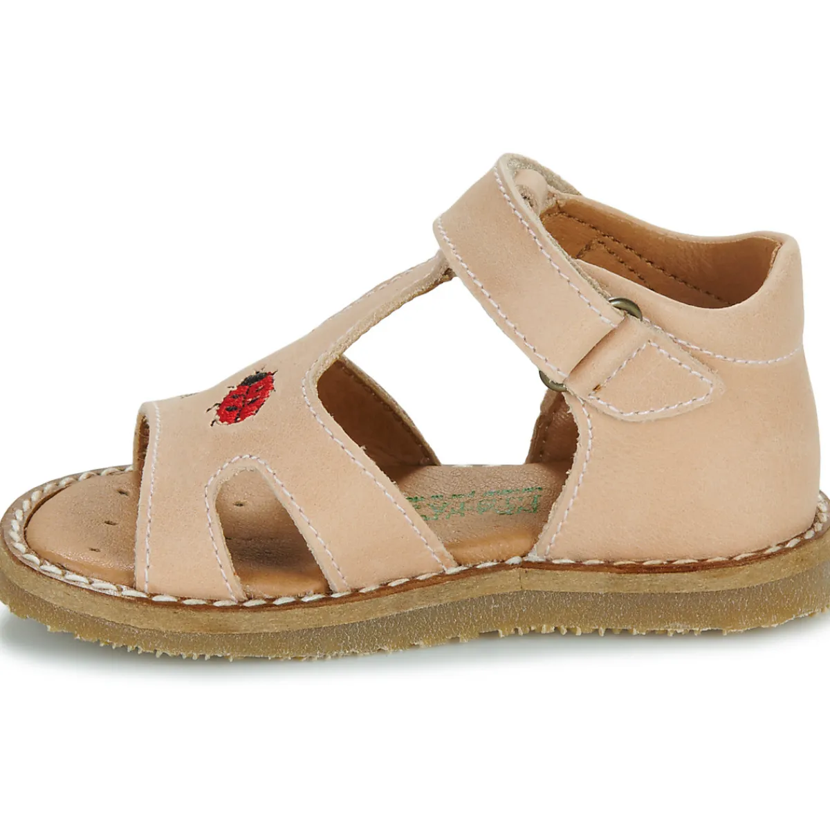 Online El Naturalista - 5348 Rose