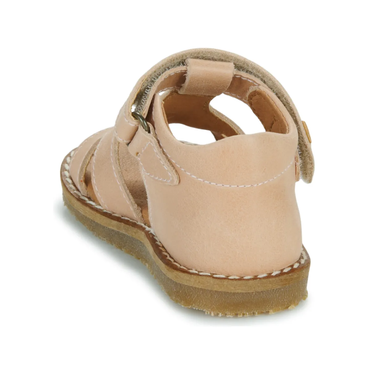 Online El Naturalista - 5348 Rose