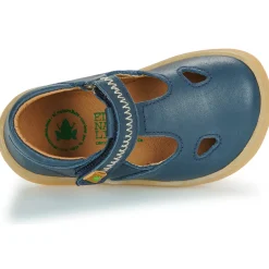 El Naturalista - 5341