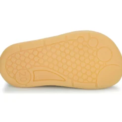 El Naturalista - 5341