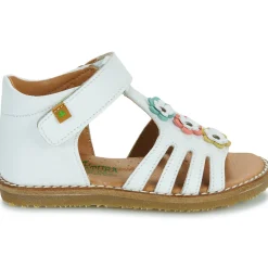 El Naturalista - 5354 Blanc