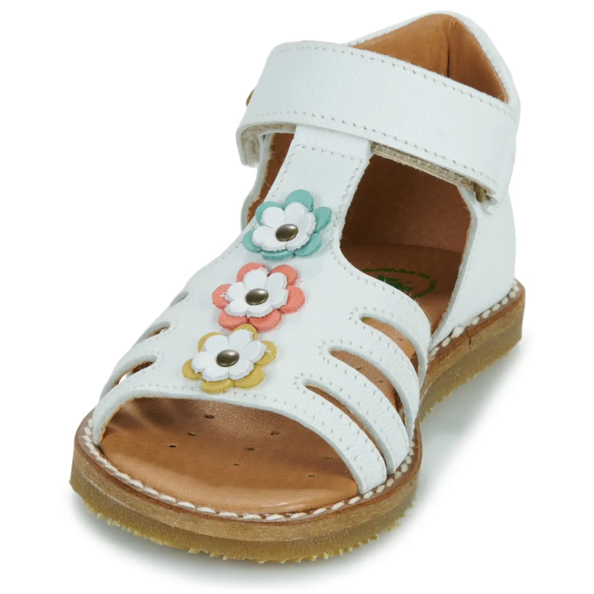 El Naturalista - 5354 Blanc