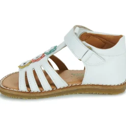 El Naturalista - 5354 Blanc