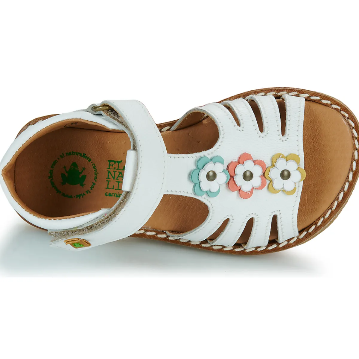 El Naturalista - 5354 Blanc