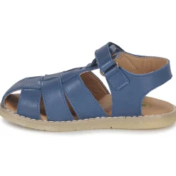 El Naturalista - AFRICA