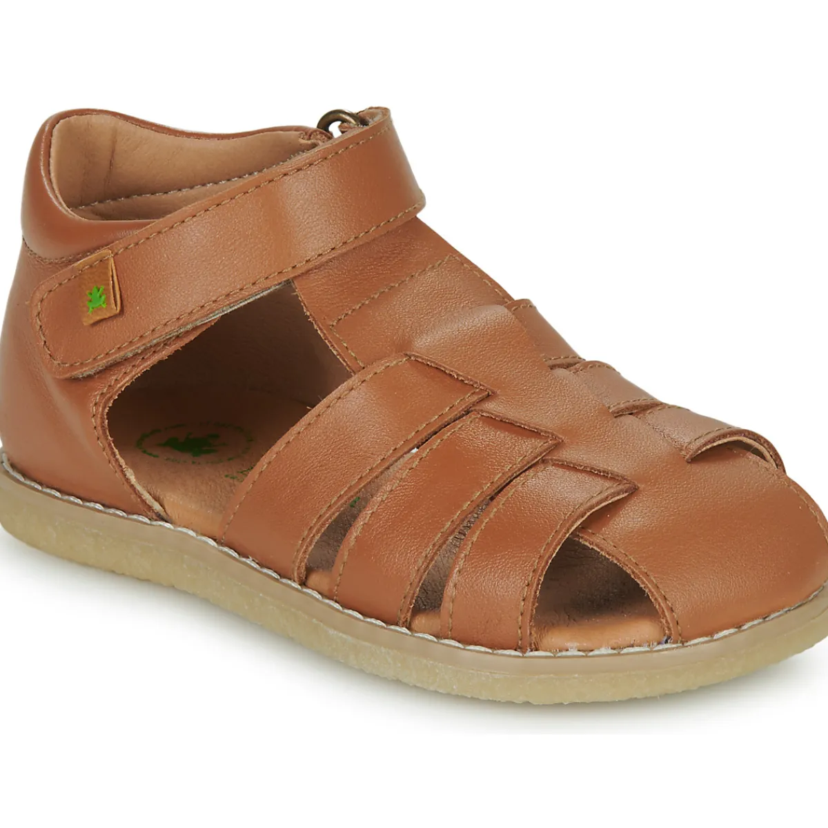 El Naturalista - AFRICA