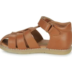 El Naturalista - AFRICA