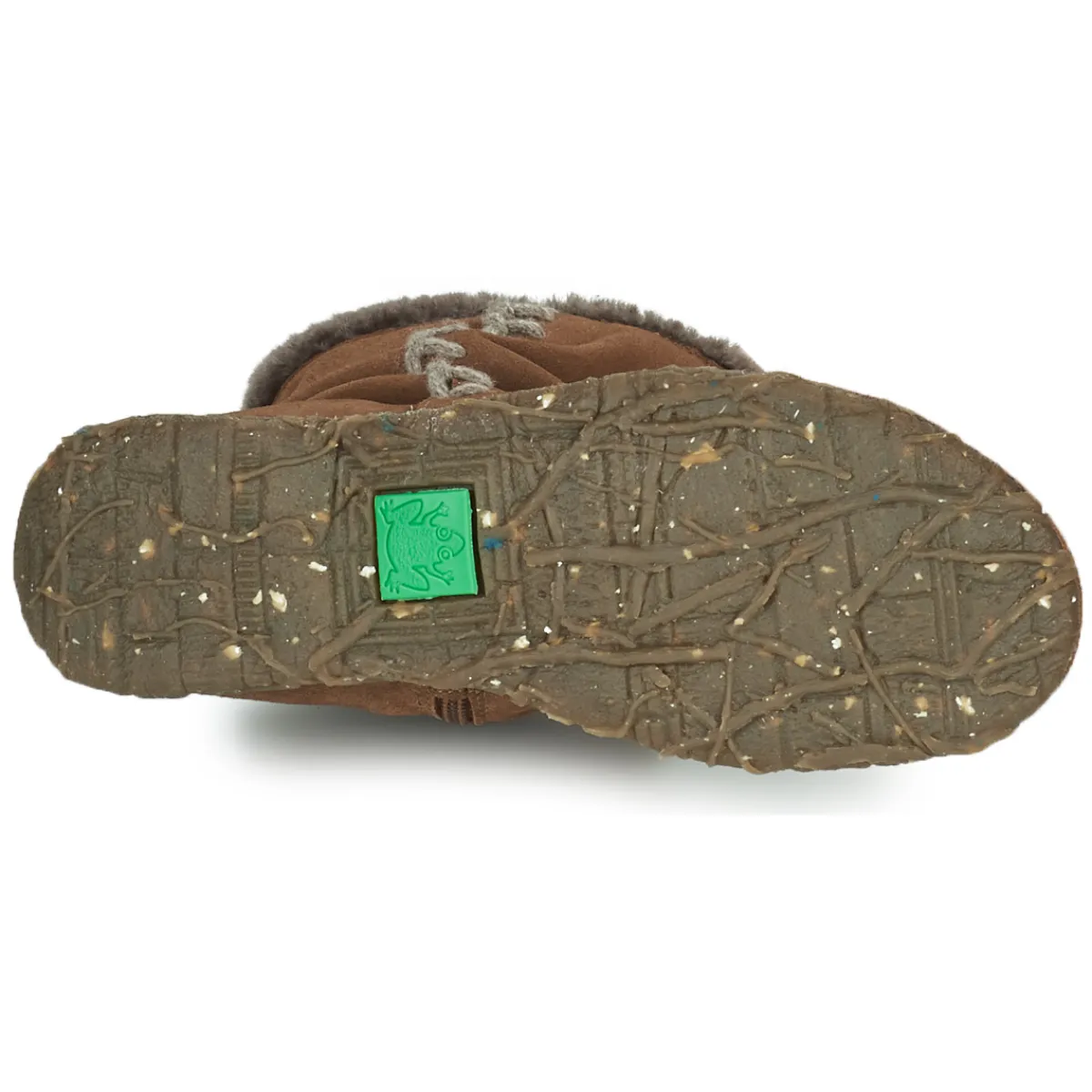 El Naturalista - ANGKOR N5468 Marron