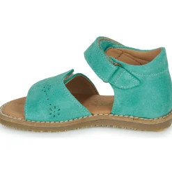 El Naturalista - ATENAS Bleu Online