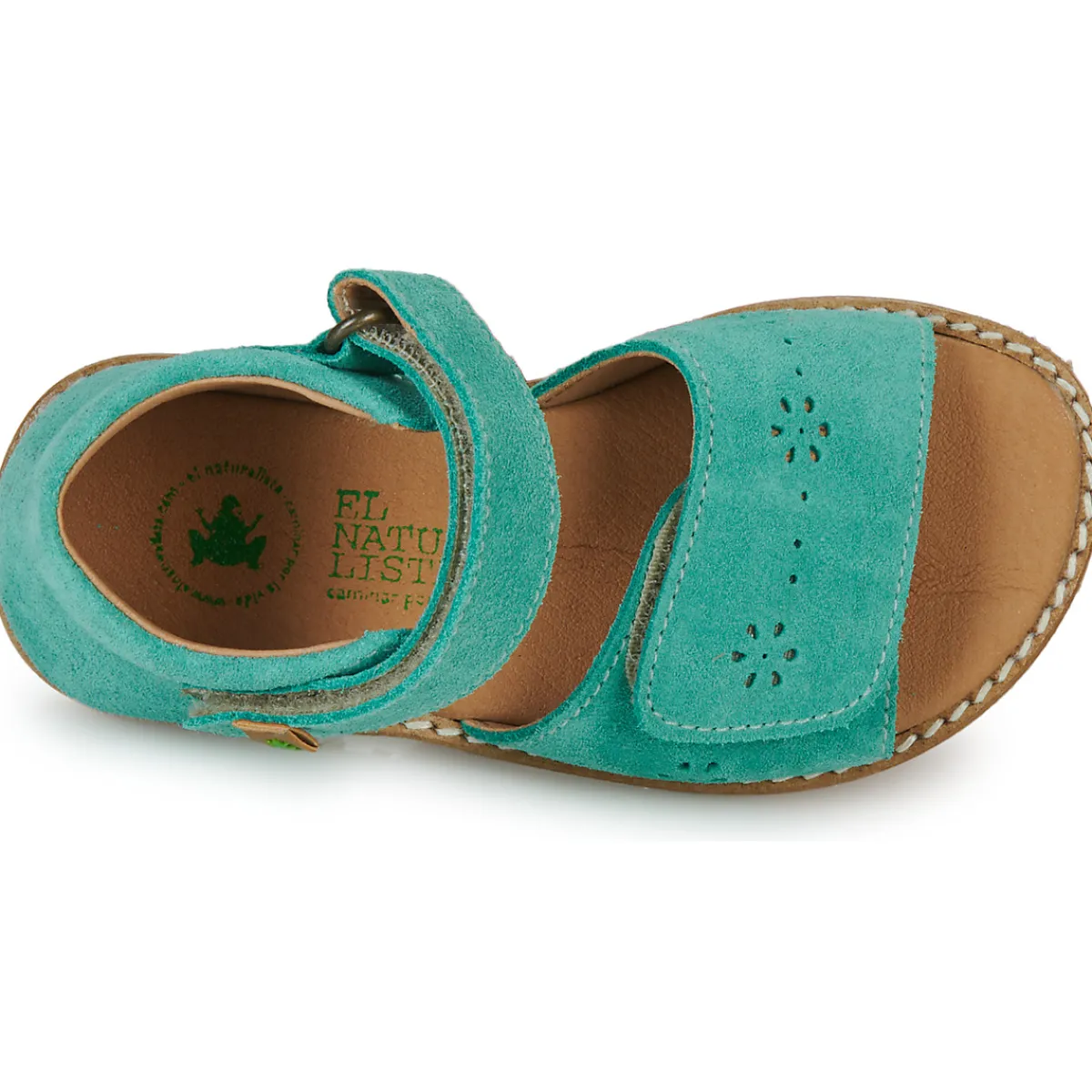 El Naturalista - ATENAS Bleu Online