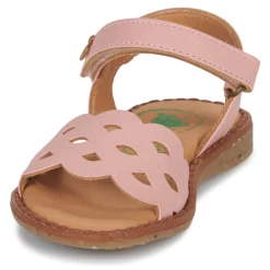 El Naturalista - ATENAS Rose