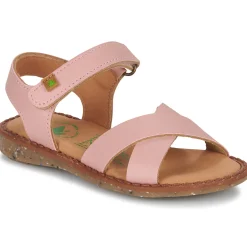 Best El Naturalista - ATENAS Rose