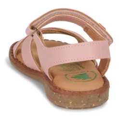 Best El Naturalista - ATENAS Rose