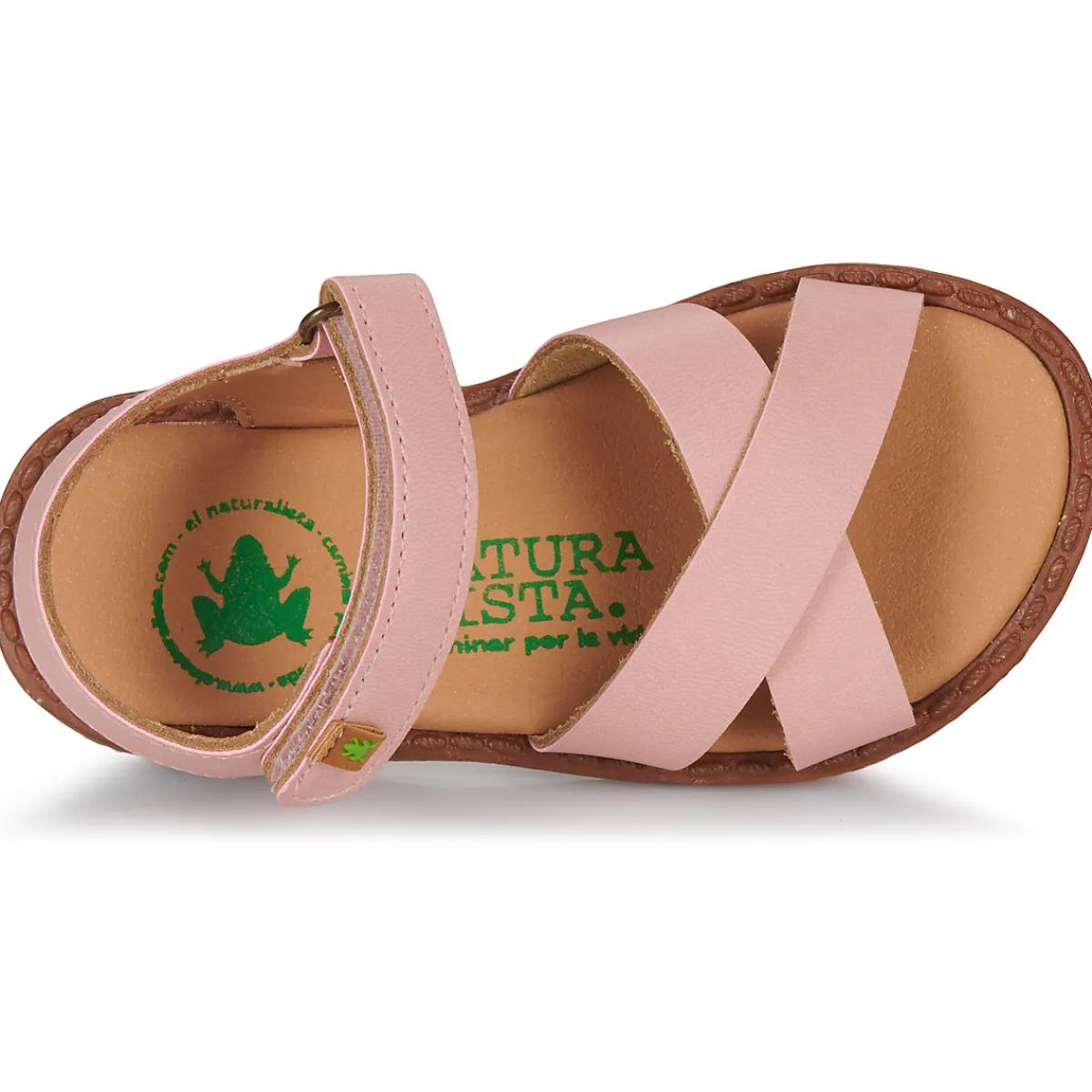 Best El Naturalista - ATENAS Rose