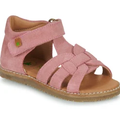 El Naturalista - ATENAS Rose Online