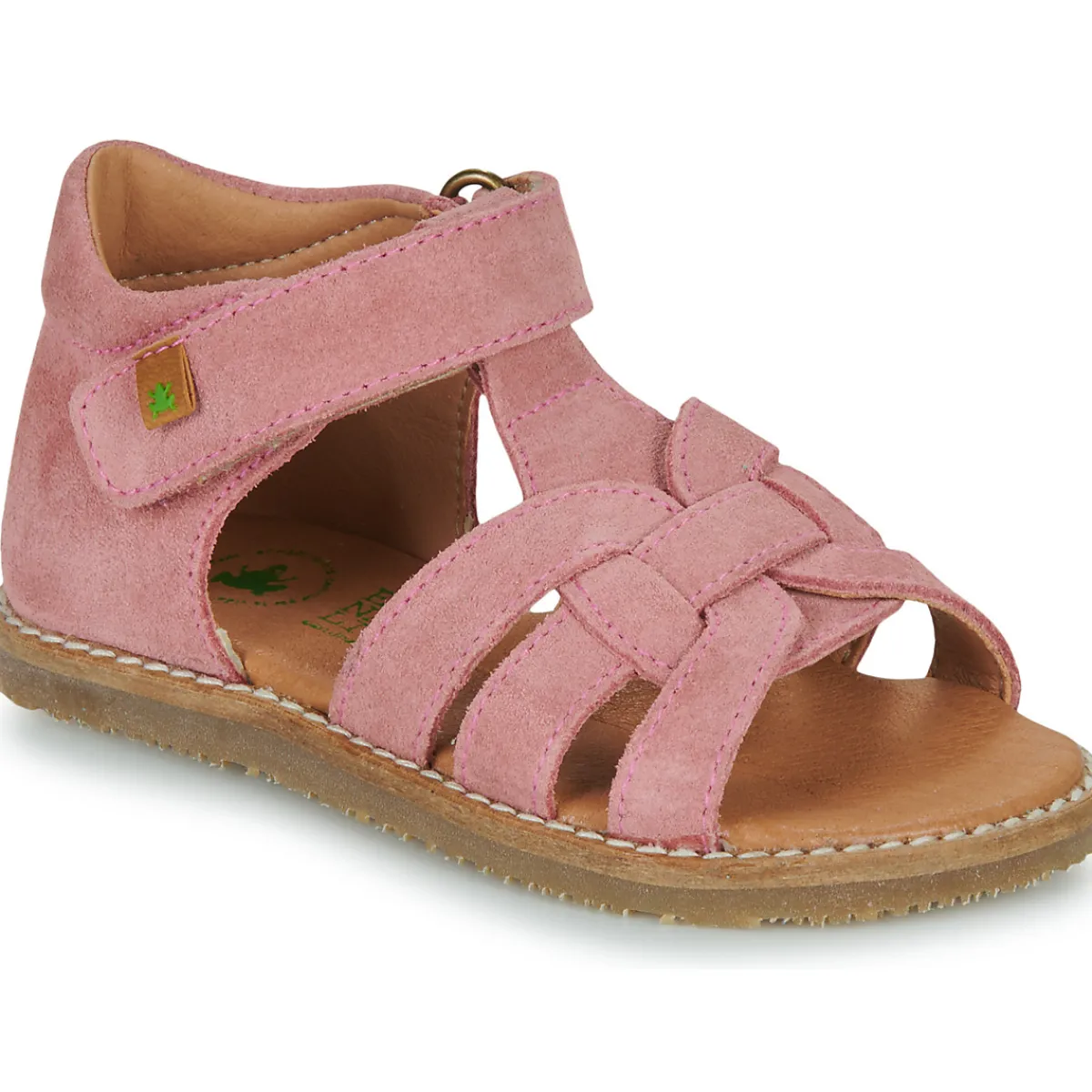 El Naturalista - ATENAS Rose Online