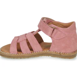 El Naturalista - ATENAS Rose Online