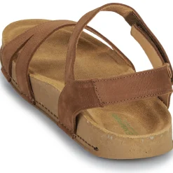 El Naturalista - BALANCE N5790