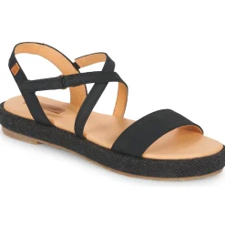 El Naturalista - BOSANA N5881