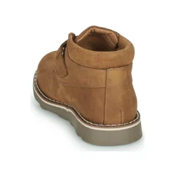 El Naturalista - BROSSI Marron New