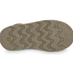 El Naturalista - BROSSI Marron New