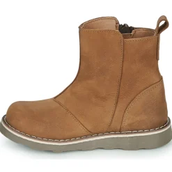 El Naturalista - BROSSI Marron