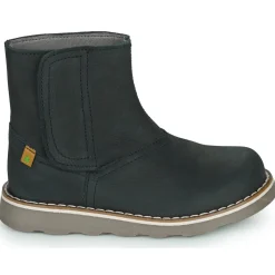 El Naturalista - BROSSI