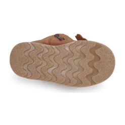 El Naturalista - Brossi