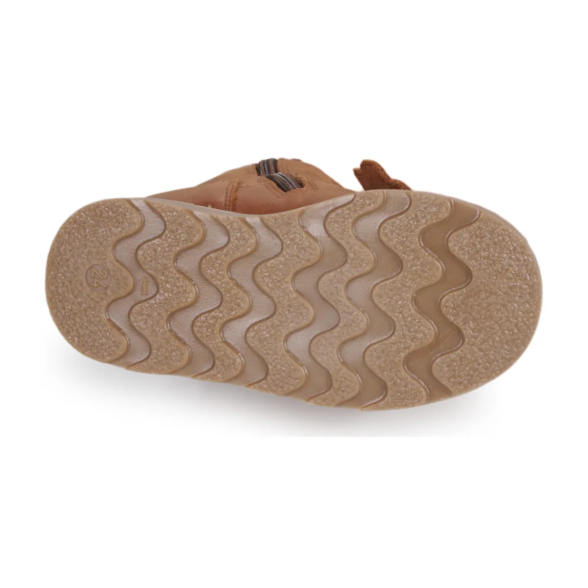 El Naturalista - Brossi